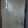 Obra Janaina